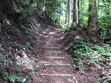 20140517hike (65)